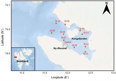 Trophic Dynamics of Zooplankton Before and After Polar Night in the Kongsfjorden (Svalbard): Evidence of Trophic Position Estimated by δ15N Analysis of Amino Acids